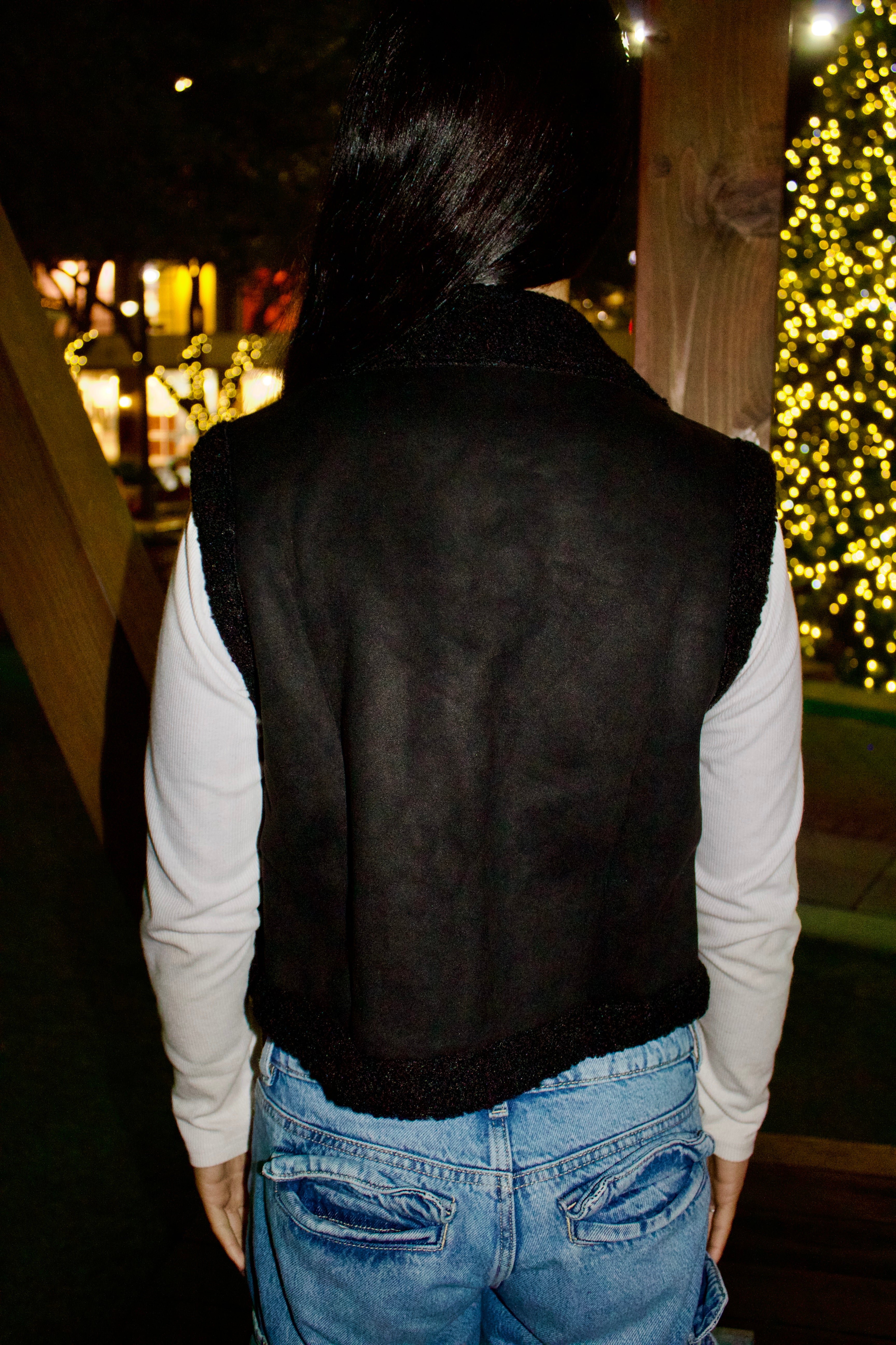 Sleigh Ride Vest