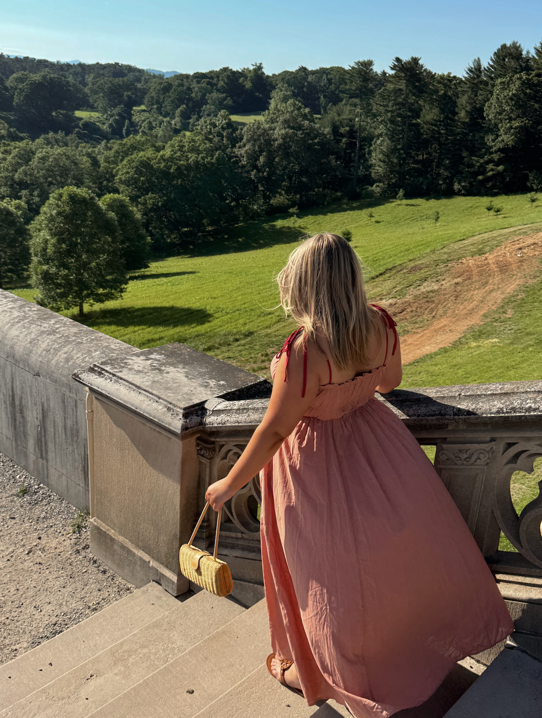 Priscilla Blush Dress