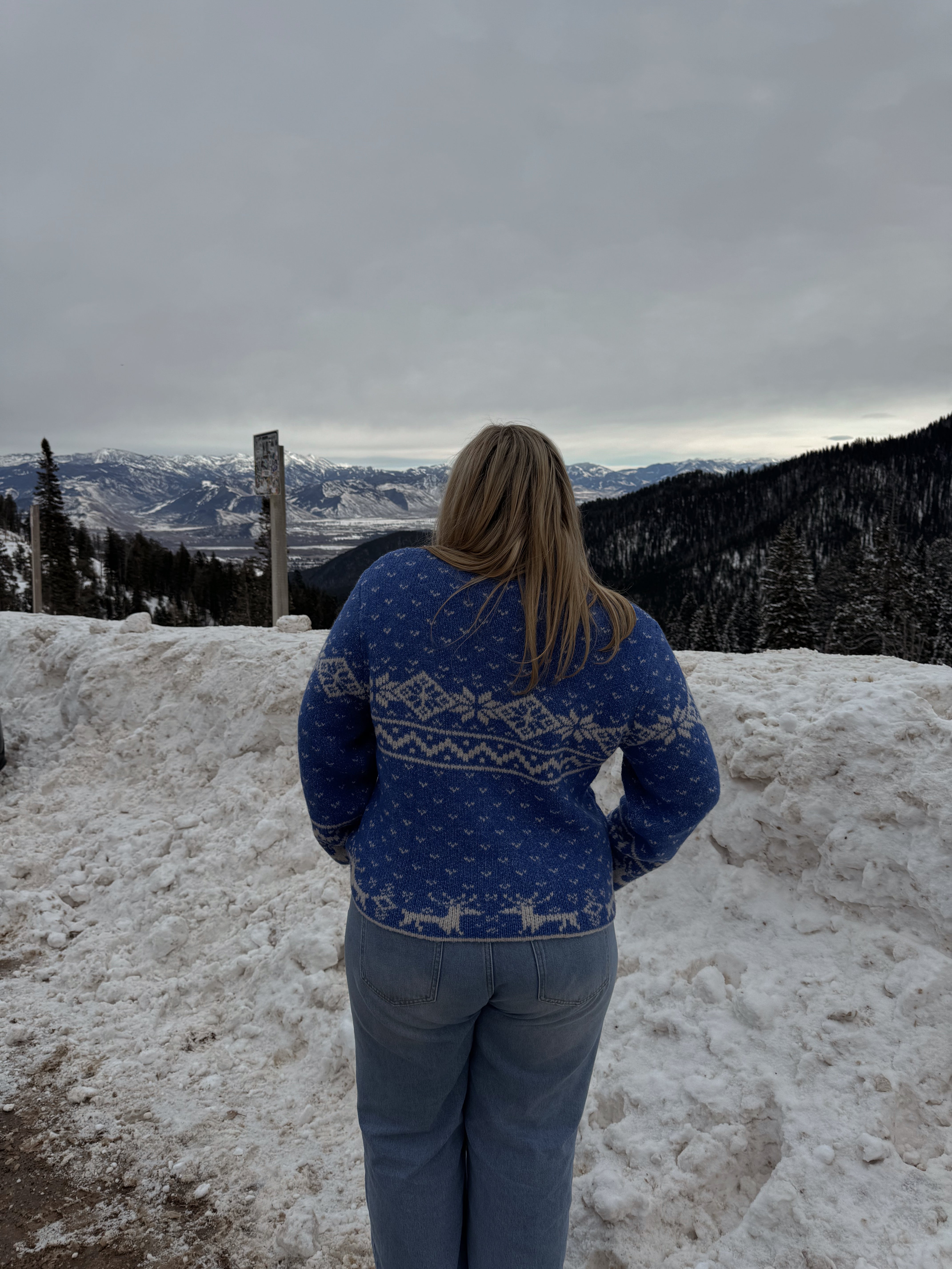 Nordic Blue Sweater